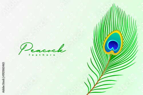 natural peacock feather background design