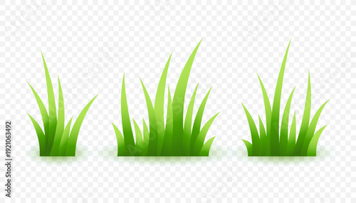 isolated natural green grass tufts element in set of three