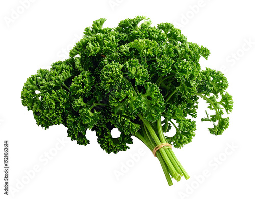 Fresh green parsley bunch isolated on white background.