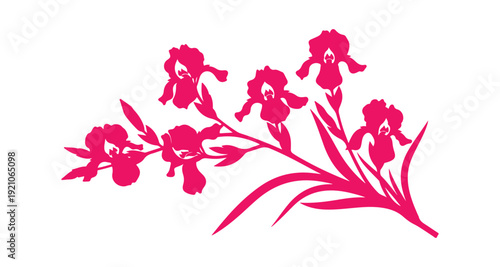 pink flowers on white background