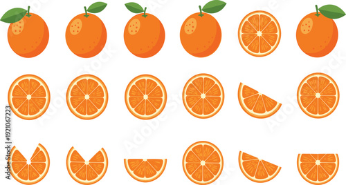 Premium orange fruit vector megaset with whole citrus slices and wedges for juice branding and healthy lifestyle design