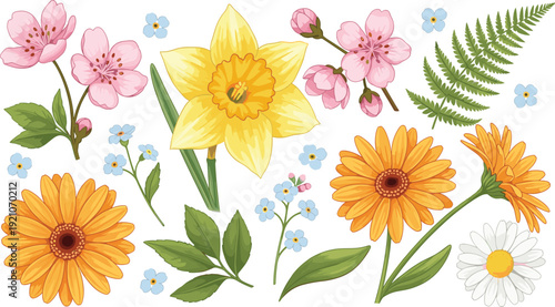 Set of beautiful spring flowers including daffodils, cherry blossoms, gerbera daisies, and forget-me-nots in a detailed flat vector illustration style for floral design projects.