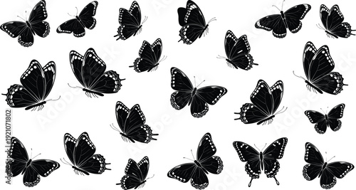 Breathtaking Aerial View of a Lone Hiker Standing on a Rugged Mountain Peak at Sunset Overlooking a Vast Valley with Golden Hour Lighting