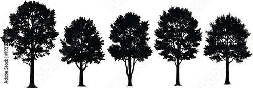 Black vector silhouette set of elderly people walking with canes for senior care nursing home retirement community and aging population healthcare assistance branding (24 words)