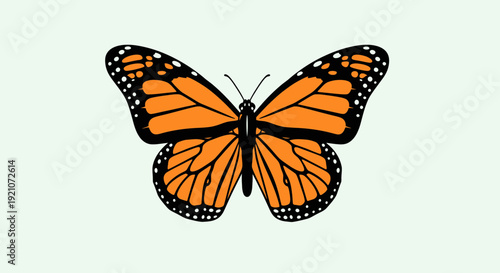 Monarch Butterfly with Orange Wings and Black Veins on Light Background