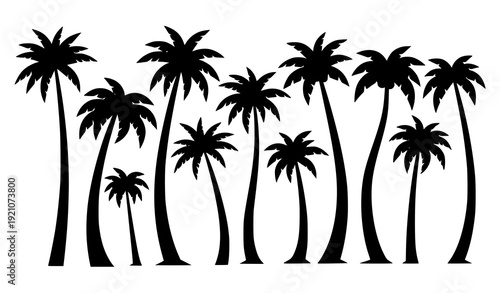 Abstract Monochrome Palm Tree Silhouettes Collection for Tropical Design