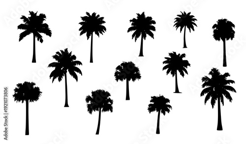 Minimalist Tropical Palm Tree Vector Silhouette Set Isolated on White Background
