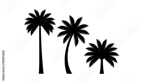 Horizontal Arrangement of Three Tropical Palm Tree Silhouettes in Monochrome Vector Style