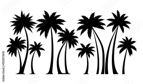 Abstract Monochrome Tropical Palm Tree Vector Silhouettes Isolated on White