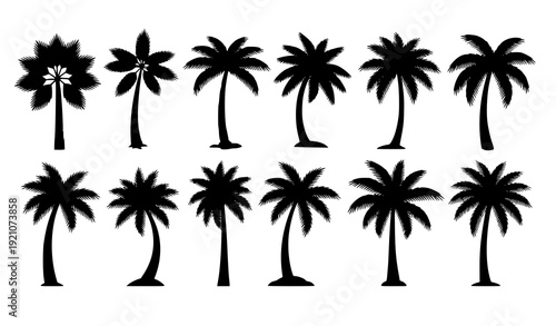 Tropical Palm Tree Silhouette Collection in Monochrome Vector Botanical Set