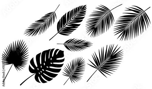 Monochrome Palm Leaf Silhouettes Collection for Tropical Botanical Design