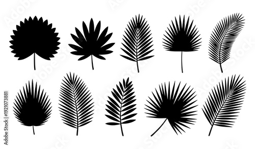 Minimal Tropical Palm Leaf Silhouette Vector Pack Isolated on White