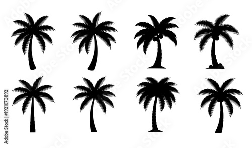 Palm Tree Black Silhouette Icon Set Tropical Exotic Plant Vector Collection