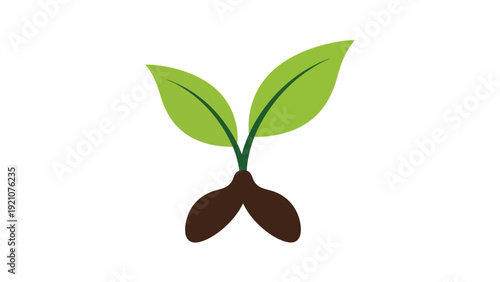 a fresh green plant seedling with two vibrant leaves emerging from brown soil symbolizing new life natural growth and eco-friendly sustainability.