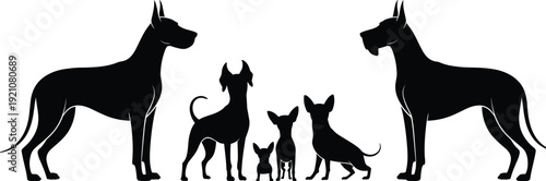 Silhouette illustration of seven dogs in symmetrical lineup, featuring large Great Dane figures and smaller breeds like Chihuahua and Terrier, symbolizing diversity in canine design artwork.