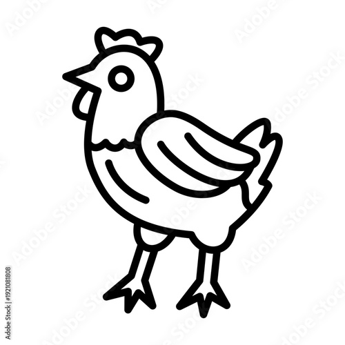 chicken animal illustration