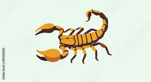 Scorpion Illustration - Zodiac Sign, Astrological Symbol