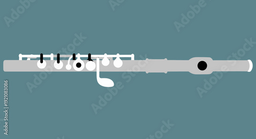 Silver Flute Musical Instrument with Keys and Footjoint - Studio Shot
