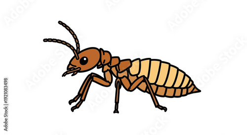 Termite Insect Illustration