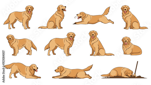 Collection of various poses and activities of a golden retriever dog including sitting, lying down, running, and digging.