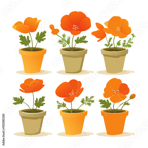 Red Geranium Flower Plant Illustration Set in Classic Terracotta Pot for Balcony Garden Decor and Summer Floral Design