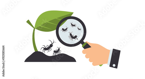 Hand Holding Magnifying Glass Over Ants.