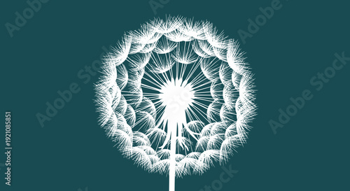 Quadro su tela White Dandelion Seed Head Close-up on Dark Teal Background