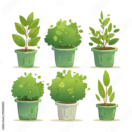 Vibrant Orange Marigold And Summer Garden Plant Illustration Set In Simple Clay Pot For Bright Outdoor Spaces