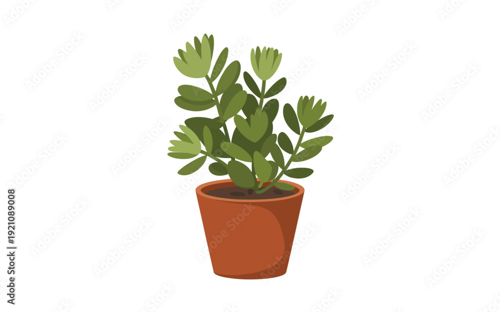 Fototapeta premium A small green plant in a terracotta pot on a white background.