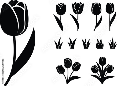 Black Tulip Flower Silhouette Vector Set with Various Spring Blooms, Stems, Leaves, and Grass Elements for Floral Design, Wedding Invitations, and Nature Branding