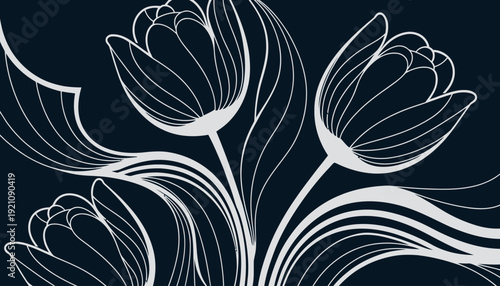 Elegant white tulip flowers on dark background