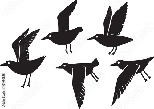 Graceful flight of five silhouetted birds in dynamic poses against a plain background Vector