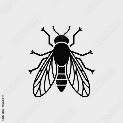 Simple black and white illustration of a fly viewed from above.