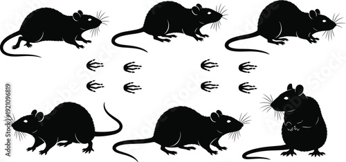 Black vector silhouette set of rats and mice in various poses with paw print tracks for pest control rodent infestation and wildlife nature branding