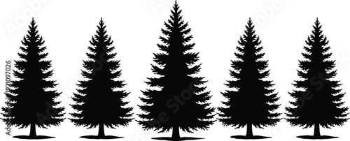 Pine tree silhouette collection, evergreen forest vector set, black conifer illustration, isolated nature woodland decorative design bundle pack