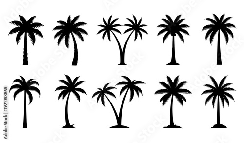 Palm Tree Black Silhouette Icon Set Tropical Exotic Plant Vector Collection