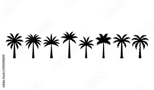 Tropical Palm Tree Silhouette Icons in Monochrome Vector Style Isolated on White
