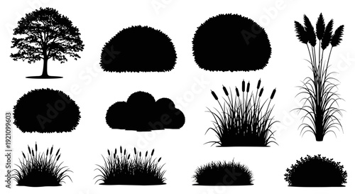 black plant silhouettes a detailed tree various bushes ornamental grasses and natural cattail vectors ideal for landscape architecture and versatile graphic design elements.
