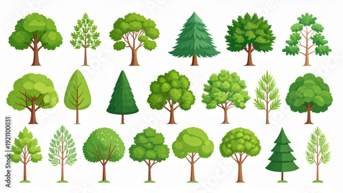 Flat Green Tree Collection Set – Various Forest and Garden Trees in Different Heights