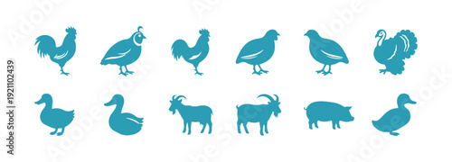 Collection of icons representing farm animals