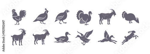 Farm animals icon pack

