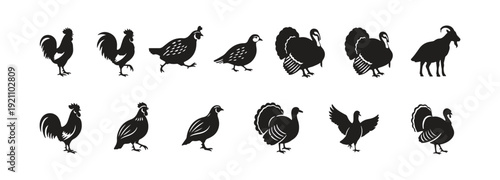 Farm animal icons collection

