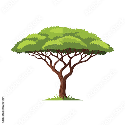 A vibrant illustration featuring a stylized tree with broad leaves and a brown trunk