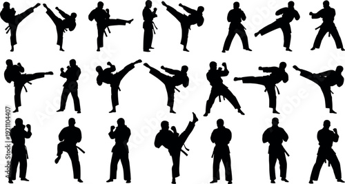 Professional Martial Arts Silhouette Set Featuring Karate Taekwondo and Kung Fu Fighters in Combat Poses Kicking and Punching for Sports Training and Fitness Graphic Designs