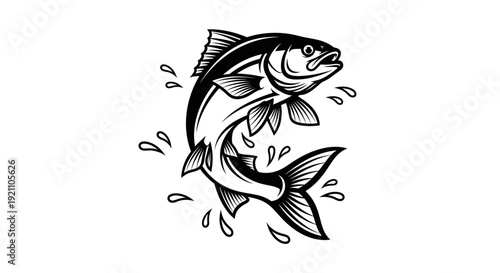 Jumping Fish Illustration, Dynamic Water Splash, Black and White Line Art