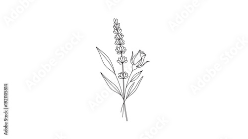 Lupine flower in minimalist line art style with soft gray tones on white background for botanical design