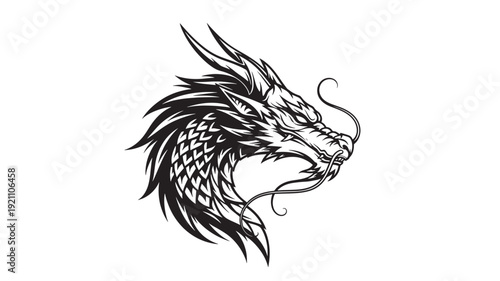 Dragon head in black and white illustration on white background for tattoo design