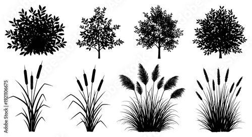 black vector plant silhouettes diverse trees bushes cattails pampas grass and wheat isolated on white for botanical graphic design.