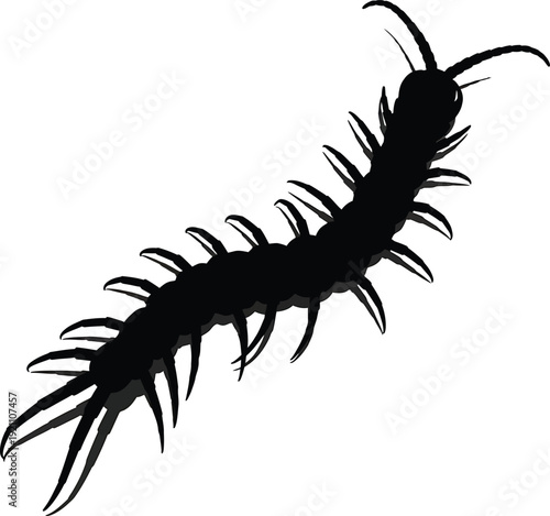 Silhouette of a black beetle and caterpillar on white background vector illustration