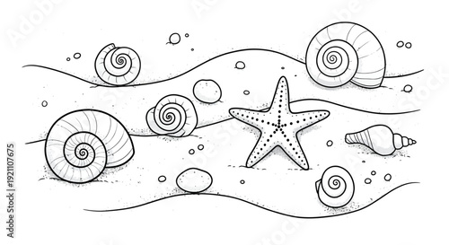A black and white line drawing of various seashells and a starfish resting on a sandy ocean floor with wavy lines.